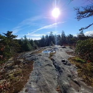 Meet your Posher, Shanna